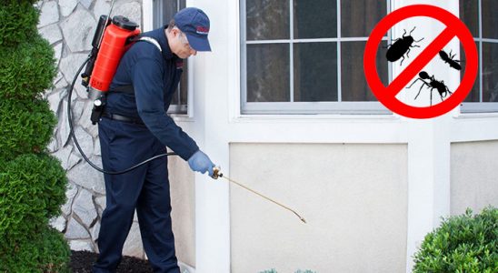 Buca Koop Fare İlaçlama böcek ilaçlama ve haşere kontrolü — ilaclama-tr.com